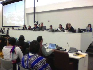 grand_chief_ed_john_center_chairing_the_11th_session_of_the_un_pfii_2012